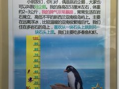 -梦幻海洋王国(吾悦广场张家港店)