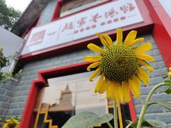 -教师之家赵家羊汤馆(东青龙街店)