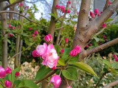 -元大都城垣遗址公园