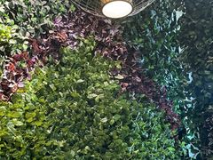 -佳兰雅序融合菜(高新店)