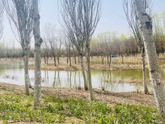 -东郊湿地公园