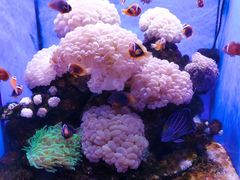 -多彩贵州城极地海洋世界