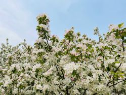 -大望京儿童游乐场