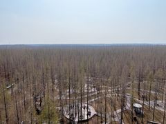 -黄海国家森林公园