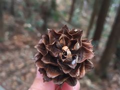 -安溪清水岩