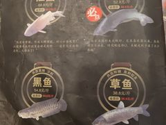 -鱼美人烤鱼坊