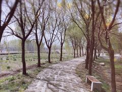 -长兴太湖图影湿地文化园
