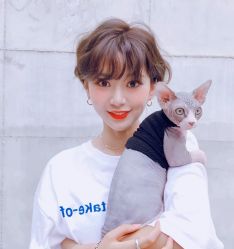 -SY COLOUR专业烫染