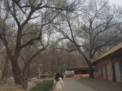 -廊坊市自然公园