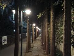 -HONGA HONGA雄家(曹路店)