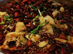 麻辣清江鱼-麻辣渔夫(赵辛店)