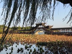 -锦溪古镇