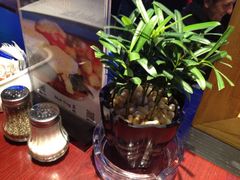 blue&nbsp;frog蓝蛙(水游城店)-bluefrog蓝蛙(水游城店)