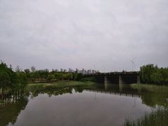 -尚贤河湿地