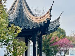 -八大山人梅湖景区