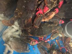 -宾朋海鲜特色美食餐厅·纯手工鲅鱼水饺(兴海路店)