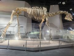 -武汉园博园(武汉自然博物馆)