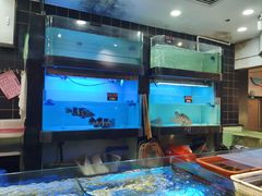 -宝园酒家(美林M·LIVE天地东座店)