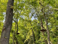 -WeLope紫金山探险公园