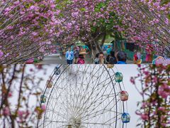 -观澜湖生态运动公社