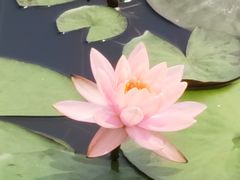 -郑东新区湿地公园