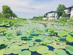 -祝甸砖窑文化馆