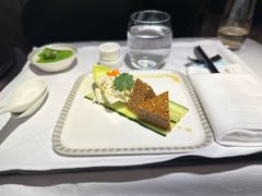 -新加坡航空公司(ION)