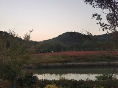 -上海佘山国家森林公园天马山园