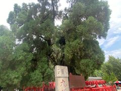 -四门塔风景区
