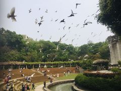 -紫金山天文台