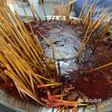 来益阳吃益阳麻辣烫了！
