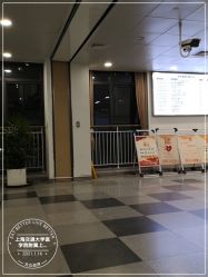 -上海交通大学医学院附属上海儿童医学中心(陆家嘴总院区)