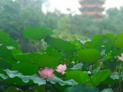 -沐仙湖湿地公园