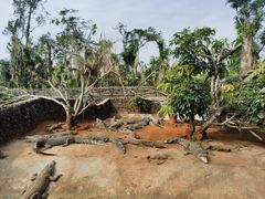 -海南热带野生动植物园