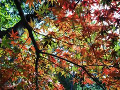 -宝岩生态观光园