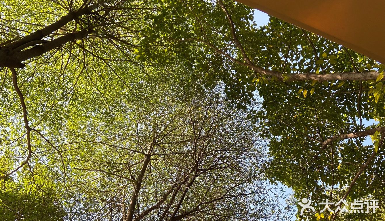 悠闲下午茶☕️