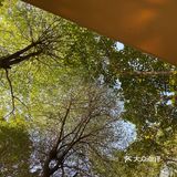 悠闲下午茶☕️