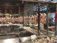 -北京老铺烤鸭(西稍门店)