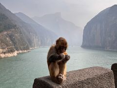 -白帝城·瞿塘峡景区