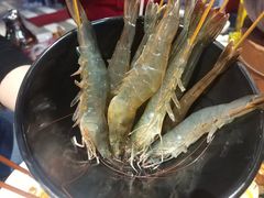 -捞围鲜·港式打边炉(海阳路店)