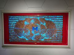 -上海昆虫博物馆