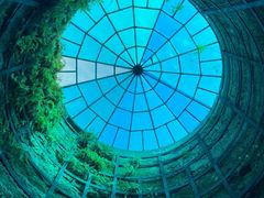 -西峡恐龙遗迹园