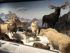 -陕西自然博物馆