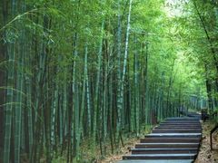 -游子山休闲旅游区