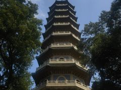-灵谷景区