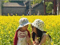 -北坞公园