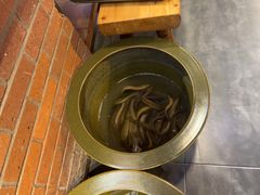 -鸽子窝(宋庄店)