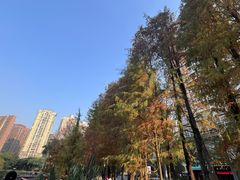 -四海公园(南山区)