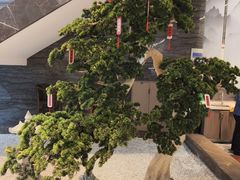 -江南宴•沿江菜江南味(七街店)