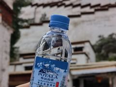 -布达拉宫